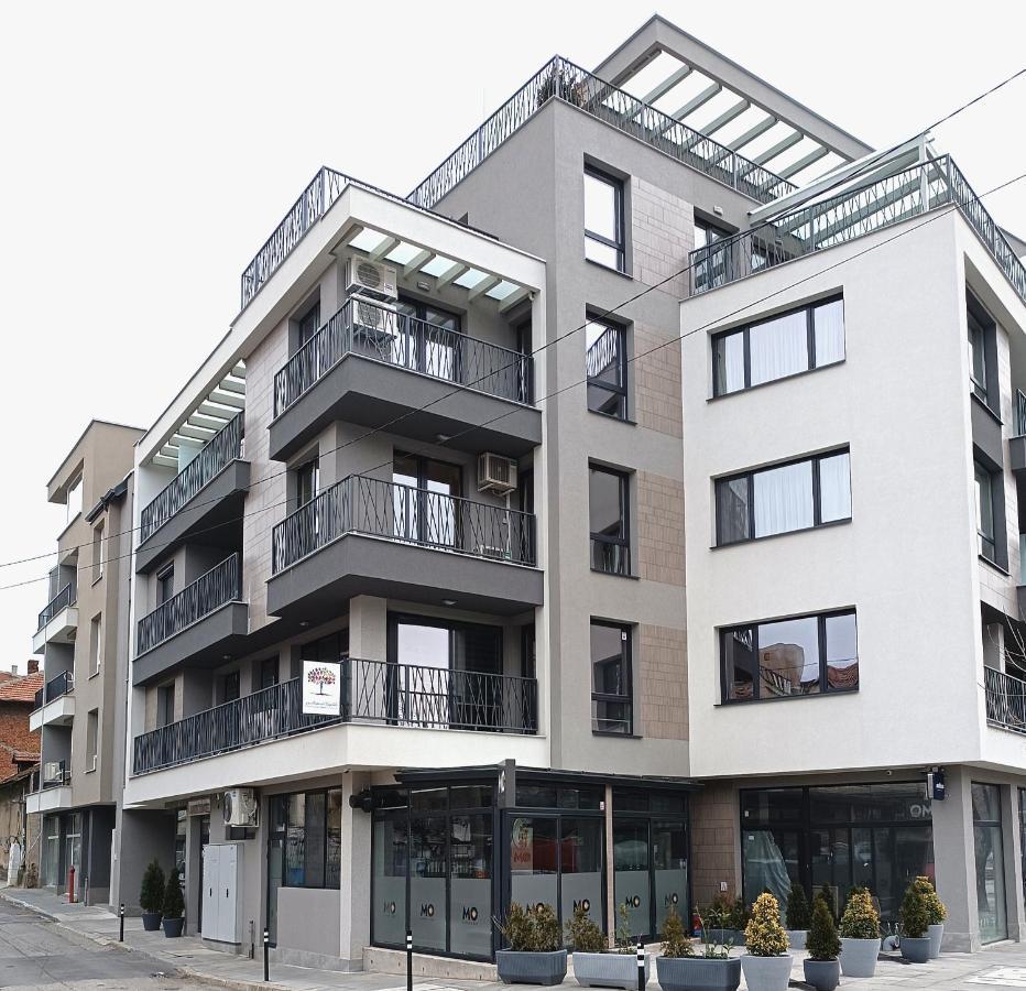 Apartament Intense بلاغويفغراد المظهر الخارجي الصورة
