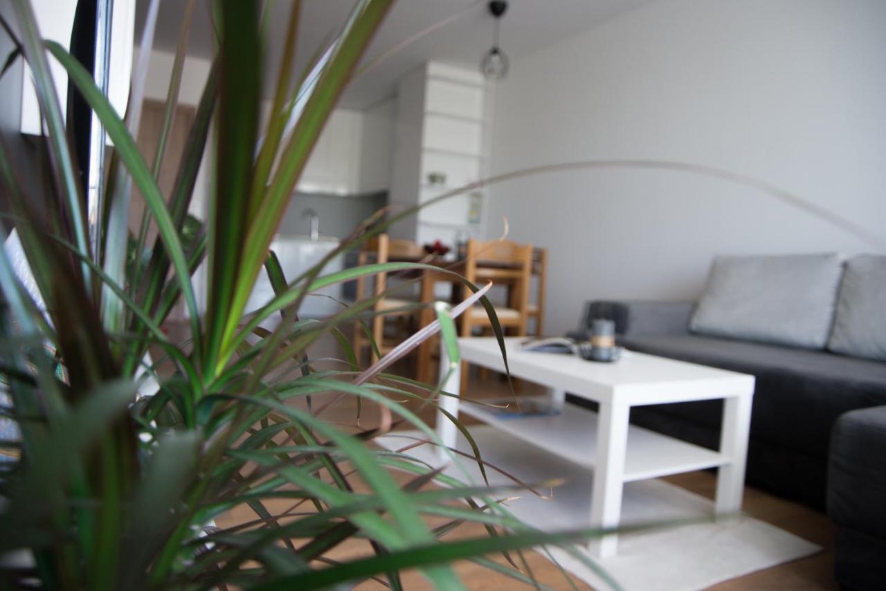 Apartament Intense بلاغويفغراد المظهر الخارجي الصورة